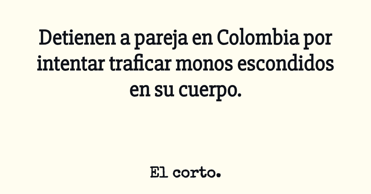 Detienen a pareja en Colombia por intentar traficar monos escondidos en ...
